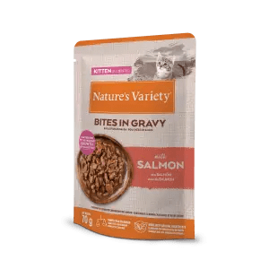 Pedaços envolvidos em molho com salmon gatinho