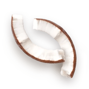 COCCO