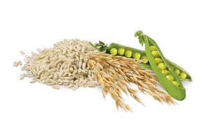 ARROZ INTEGRAL, AVENA Y GUISANTES