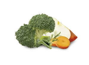 CAROTA, MELA, BROCCOLI, ROSMARINO E ALGA