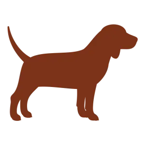 para cães médios/maxi