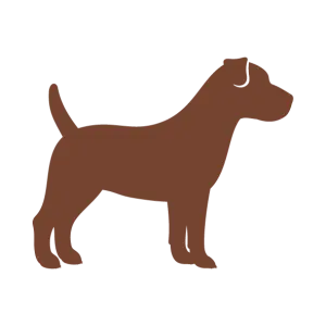 Adaptado a cachorros