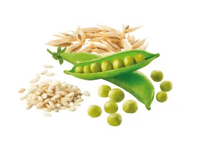 Arroz Integral, Avena y Guisantes